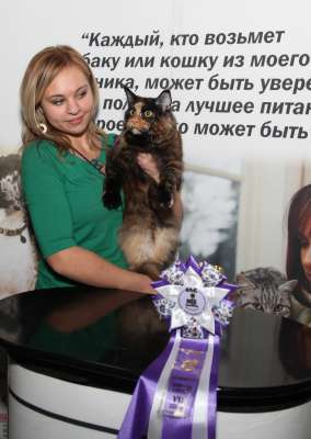 �������� ����� '������� ���-�����' 30 ������-1 ������� 2013., WCF-����� 4271